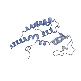 15309_8b9a_D_v1-1
S. cerevisiae replisome + Ctf4, bound by pol alpha primase. Complex engaged with a fork DNA substrate containing a 60 nucleotide lagging strand.