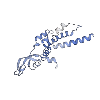 15309_8b9a_E_v1-1
S. cerevisiae replisome + Ctf4, bound by pol alpha primase. Complex engaged with a fork DNA substrate containing a 60 nucleotide lagging strand.