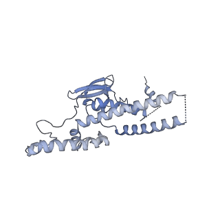 15309_8b9a_F_v1-1
S. cerevisiae replisome + Ctf4, bound by pol alpha primase. Complex engaged with a fork DNA substrate containing a 60 nucleotide lagging strand.