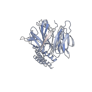 15309_8b9a_H_v1-1
S. cerevisiae replisome + Ctf4, bound by pol alpha primase. Complex engaged with a fork DNA substrate containing a 60 nucleotide lagging strand.