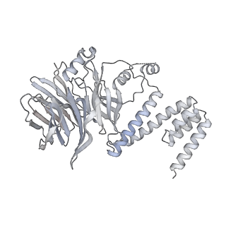15309_8b9a_K_v1-1
S. cerevisiae replisome + Ctf4, bound by pol alpha primase. Complex engaged with a fork DNA substrate containing a 60 nucleotide lagging strand.