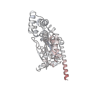 15309_8b9a_S_v1-1
S. cerevisiae replisome + Ctf4, bound by pol alpha primase. Complex engaged with a fork DNA substrate containing a 60 nucleotide lagging strand.