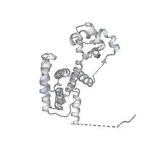 15309_8b9b_A_v1-1
S. cerevisiae replisome + Ctf4, bound by pol alpha. Complex engaged with a fork DNA substrate containing a 60 nucleotide lagging strand.