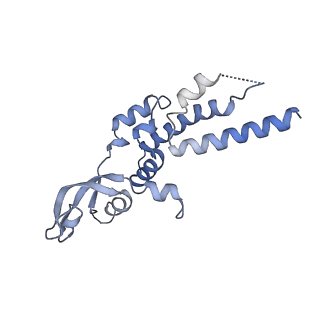 15309_8b9b_E_v1-1
S. cerevisiae replisome + Ctf4, bound by pol alpha. Complex engaged with a fork DNA substrate containing a 60 nucleotide lagging strand.