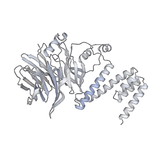 15309_8b9b_K_v1-1
S. cerevisiae replisome + Ctf4, bound by pol alpha. Complex engaged with a fork DNA substrate containing a 60 nucleotide lagging strand.