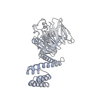 15309_8b9b_L_v1-1
S. cerevisiae replisome + Ctf4, bound by pol alpha. Complex engaged with a fork DNA substrate containing a 60 nucleotide lagging strand.