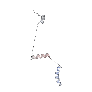 15309_8b9b_P_v1-1
S. cerevisiae replisome + Ctf4, bound by pol alpha. Complex engaged with a fork DNA substrate containing a 60 nucleotide lagging strand.