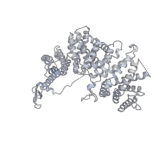15309_8b9b_X_v1-1
S. cerevisiae replisome + Ctf4, bound by pol alpha. Complex engaged with a fork DNA substrate containing a 60 nucleotide lagging strand.
