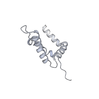 15309_8b9b_Y_v1-1
S. cerevisiae replisome + Ctf4, bound by pol alpha. Complex engaged with a fork DNA substrate containing a 60 nucleotide lagging strand.