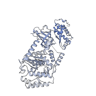 15924_8b9c_2_v1-1
S. cerevisiae pol alpha - replisome complex