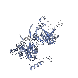 15924_8b9c_3_v1-1
S. cerevisiae pol alpha - replisome complex
