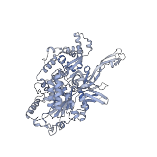 15924_8b9c_4_v1-1
S. cerevisiae pol alpha - replisome complex