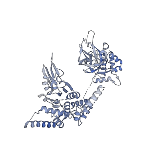 15924_8b9c_5_v1-1
S. cerevisiae pol alpha - replisome complex