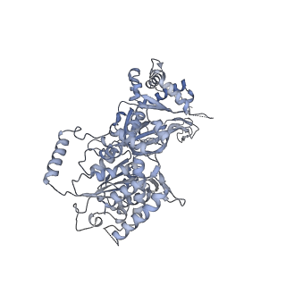 15924_8b9c_6_v1-1
S. cerevisiae pol alpha - replisome complex