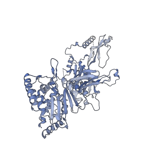 15924_8b9c_7_v1-1
S. cerevisiae pol alpha - replisome complex