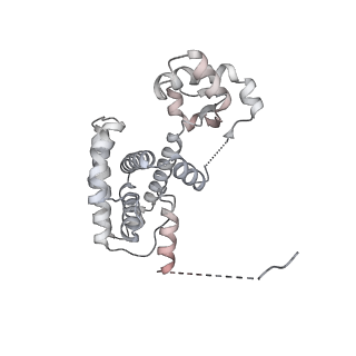 15924_8b9c_A_v1-1
S. cerevisiae pol alpha - replisome complex