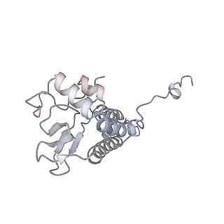 15924_8b9c_J_v1-1
S. cerevisiae pol alpha - replisome complex