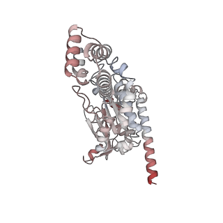 15924_8b9c_S_v1-1
S. cerevisiae pol alpha - replisome complex