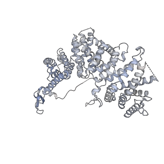 15924_8b9c_X_v1-1
S. cerevisiae pol alpha - replisome complex