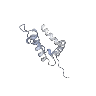 15924_8b9c_Y_v1-1
S. cerevisiae pol alpha - replisome complex