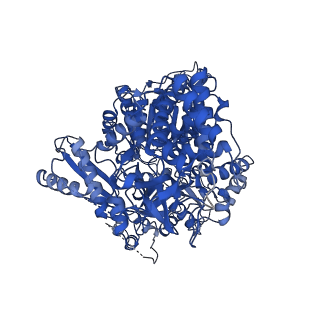 15931_8b9g_A_v1-0
Cryo-EM structure of MLE in complex with ADP:AlF4 and U10 RNA