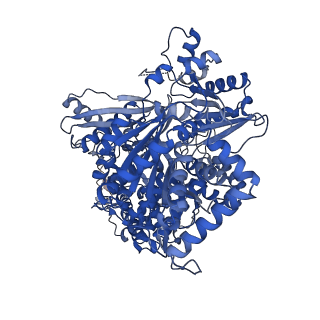 15932_8b9i_A_v1-0
Cryo-EM structure of MLE in complex with ADP:AlF4 and UUC RNA