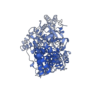 15933_8b9j_A_v1-0
Cryo-EM structure of MLE in complex with ADP:AlF4