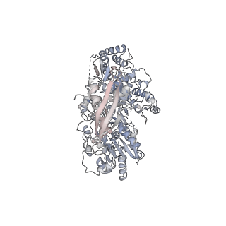 15934_8b9k_A_v1-0
Cryo-EM structure of MLE in complex with ADP:AlF4 and SL7modUUC RNA