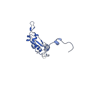 15936_8b9z_Q_v1-0
Drosophila melanogaster complex I in the Active state (Dm1)