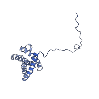 15936_8b9z_Y_v1-0
Drosophila melanogaster complex I in the Active state (Dm1)