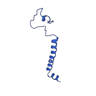 15936_8b9z_b_v1-0
Drosophila melanogaster complex I in the Active state (Dm1)