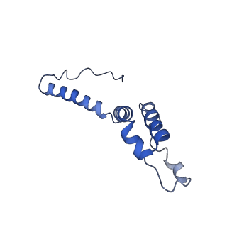 15936_8b9z_e_v1-0
Drosophila melanogaster complex I in the Active state (Dm1)