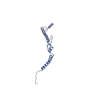 15936_8b9z_h_v1-0
Drosophila melanogaster complex I in the Active state (Dm1)