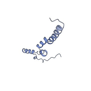 15936_8b9z_k_v1-0
Drosophila melanogaster complex I in the Active state (Dm1)