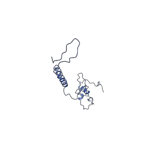 15936_8b9z_l_v1-0
Drosophila melanogaster complex I in the Active state (Dm1)