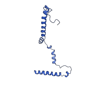15936_8b9z_m_v1-0
Drosophila melanogaster complex I in the Active state (Dm1)