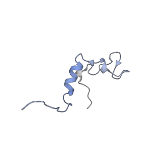 15936_8b9z_s_v1-0
Drosophila melanogaster complex I in the Active state (Dm1)
