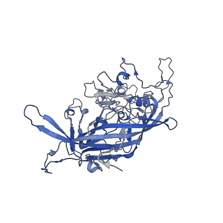 7071_6b9q_7_v1-2
Single particle cryo-EM structure determination of the LuIII capsid protein