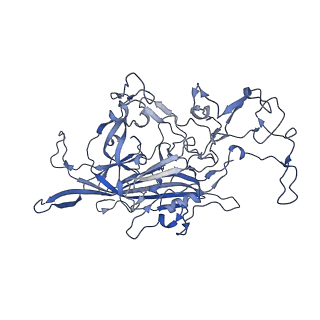 7071_6b9q_A_v1-3
Single particle cryo-EM structure determination of the LuIII capsid protein