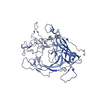 7071_6b9q_C_v1-2
Single particle cryo-EM structure determination of the LuIII capsid protein