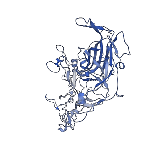 7071_6b9q_D_v1-3
Single particle cryo-EM structure determination of the LuIII capsid protein