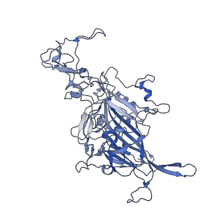 7071_6b9q_G_v1-2
Single particle cryo-EM structure determination of the LuIII capsid protein