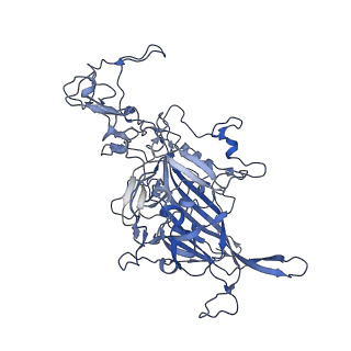 7071_6b9q_G_v1-3
Single particle cryo-EM structure determination of the LuIII capsid protein