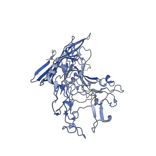 7071_6b9q_X_v1-2
Single particle cryo-EM structure determination of the LuIII capsid protein