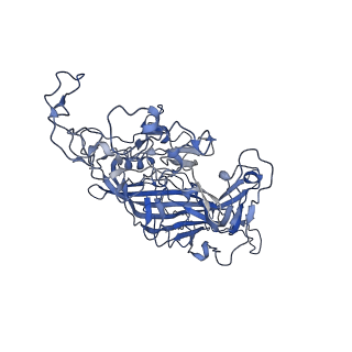 7071_6b9q_Y_v1-2
Single particle cryo-EM structure determination of the LuIII capsid protein