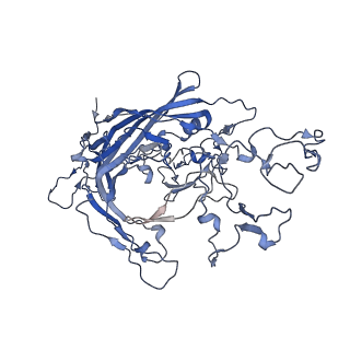 7071_6b9q_f_v1-3
Single particle cryo-EM structure determination of the LuIII capsid protein