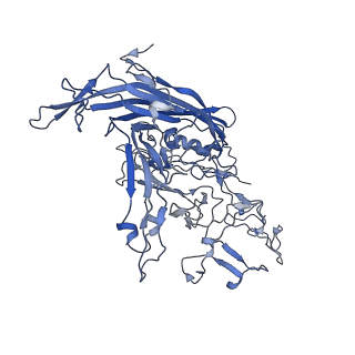 7071_6b9q_g_v1-3
Single particle cryo-EM structure determination of the LuIII capsid protein