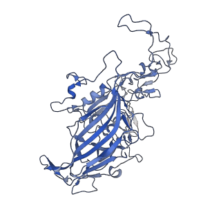 7071_6b9q_n_v1-2
Single particle cryo-EM structure determination of the LuIII capsid protein