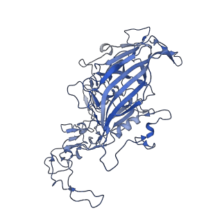 7071_6b9q_q_v1-2
Single particle cryo-EM structure determination of the LuIII capsid protein