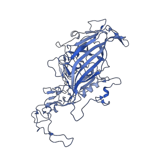 7071_6b9q_q_v1-3
Single particle cryo-EM structure determination of the LuIII capsid protein